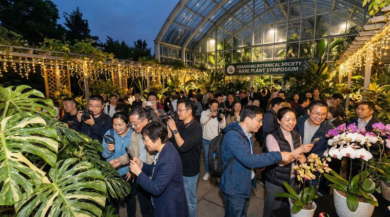 小小绘植物社区活动