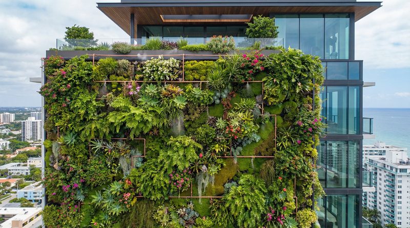 小小绘植物视频 - 垂直花园建造全记录